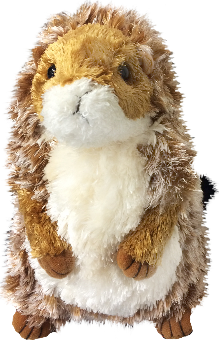 Präriehund, 22cm - Douglas Mjukisdjur