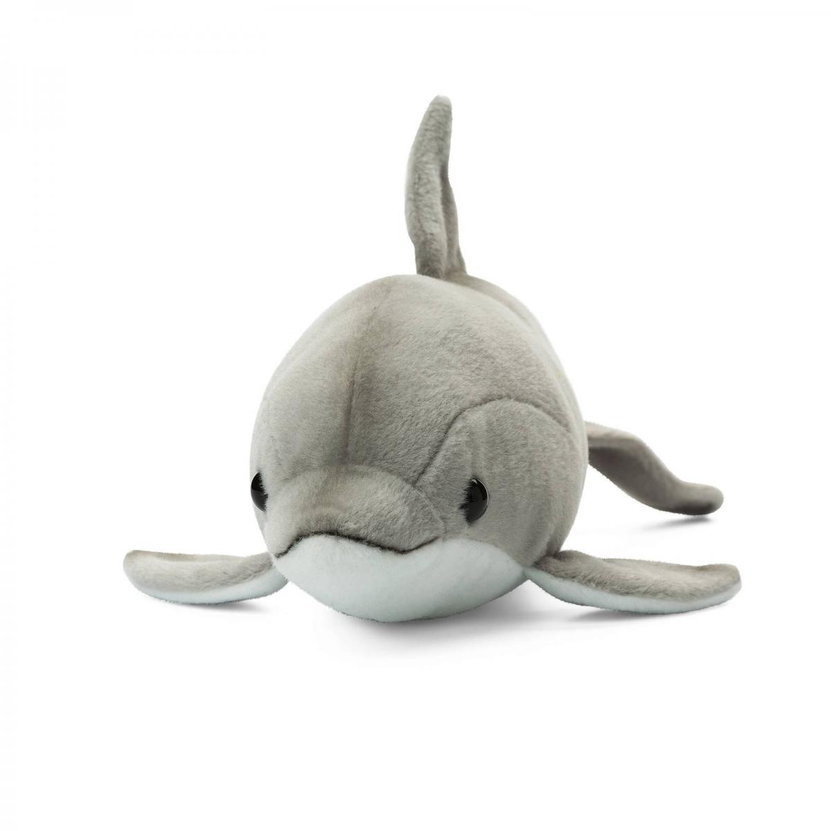 Delfin - WWF (Världsnaturfonden)