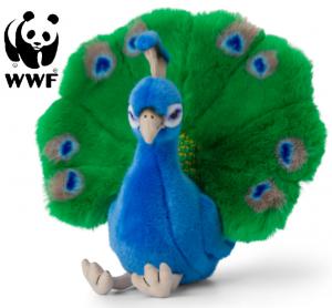 Påfågel - WWF (Världsnaturfonden)