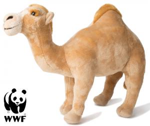 Dromedar - WWF (Världsnaturfonden)
