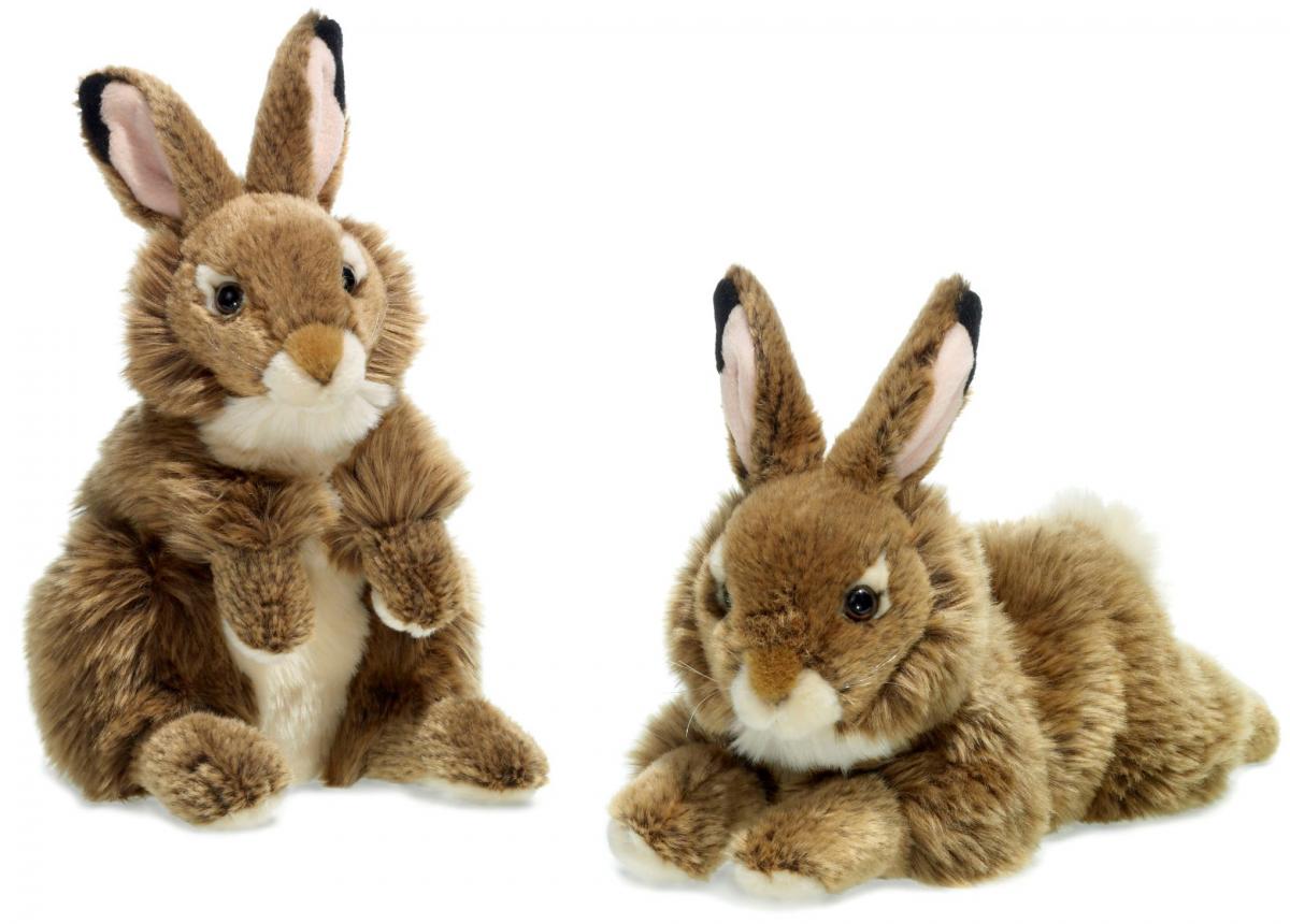 Hare - WWF (Världsnaturfonden)