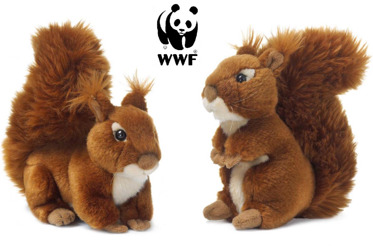 Ekorre - WWF (Vrldsnaturfonden)