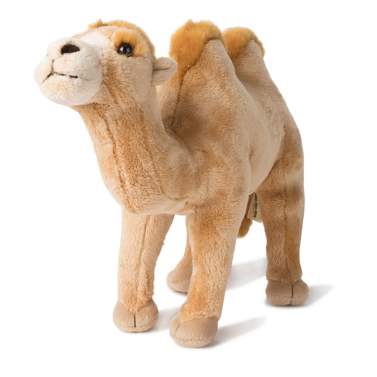 Kamel - WWF (Vrldsnaturfonden)