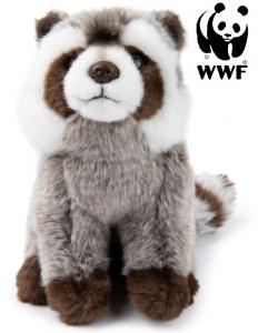 Tvättbjörn - WWF (Världsnaturfonden)