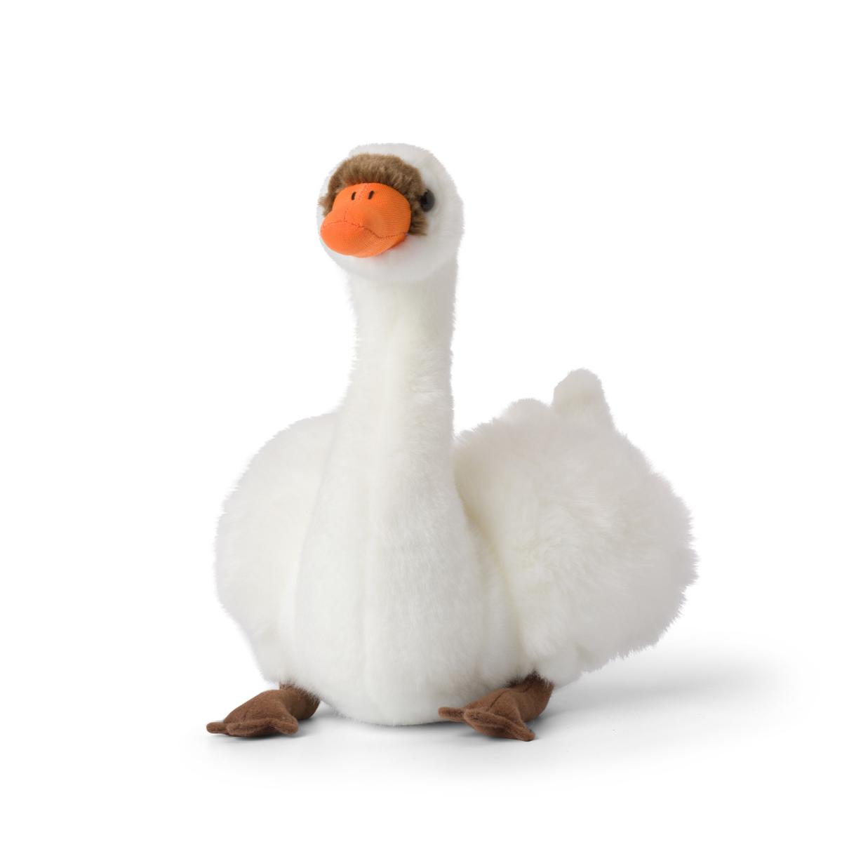 Svan - WWF (Världsnaturfonden)