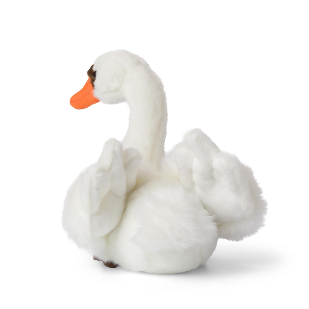 Svan - WWF (Världsnaturfonden)