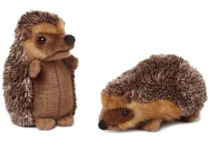 Igelkott - WWF (V&auml;rldsnaturfonden)