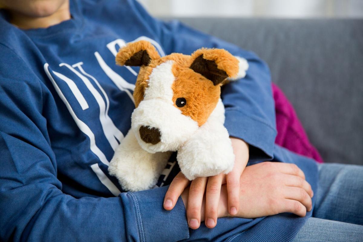 Värmenalle Hunden Hugo från Habibi Plush (micronalle) säljs på Nalleriet.se
