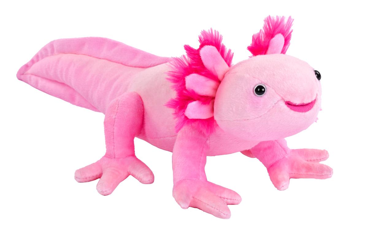 Axolotl, rosa, 20cm från Wild Republic