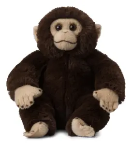 Schimpans - WWF (V&auml;rldsnaturfonden)