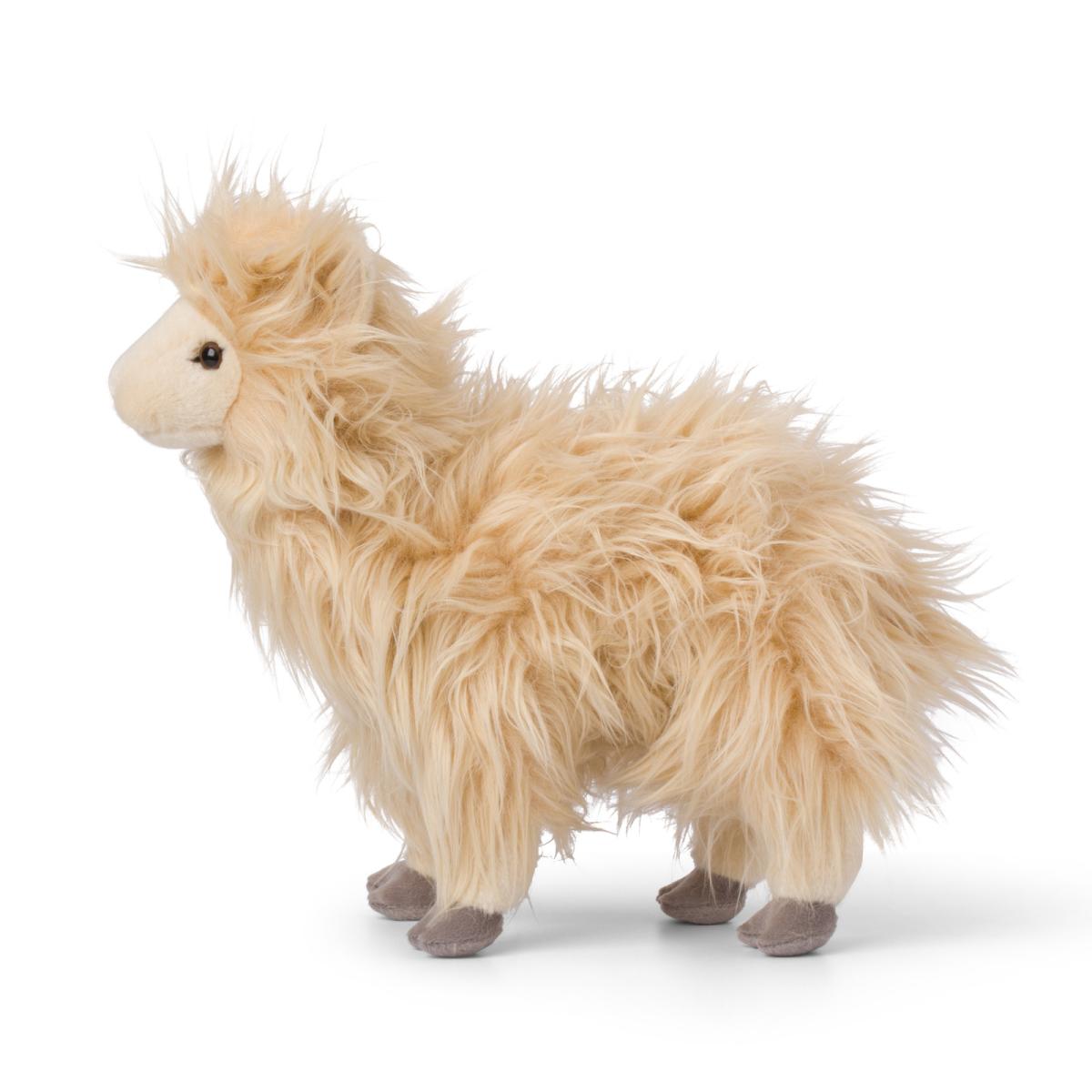 Lama - WWF (Världsnaturfonden)