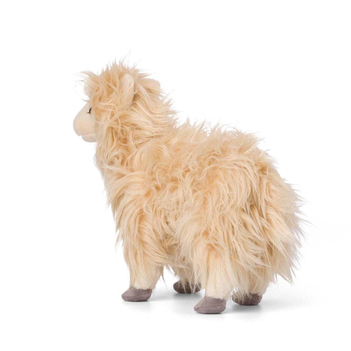 Lama - WWF (Världsnaturfonden)