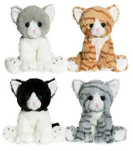 Kattkompisar från Teddykompaniet