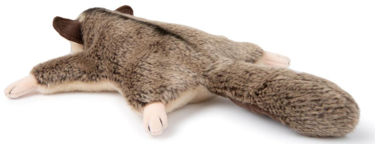 Flygekorre - WWF (Världsnaturfonden)