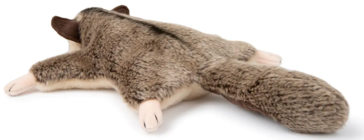 Flygekorre - WWF (Världsnaturfonden)