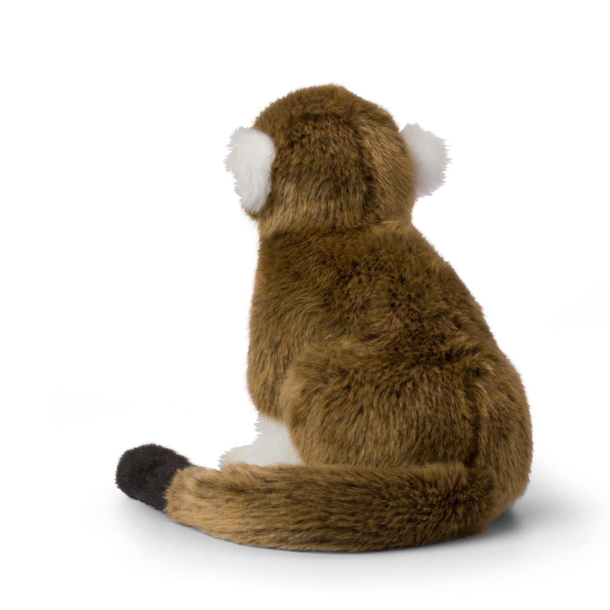 Dödskalleapa - WWF (Världsnaturfonden)