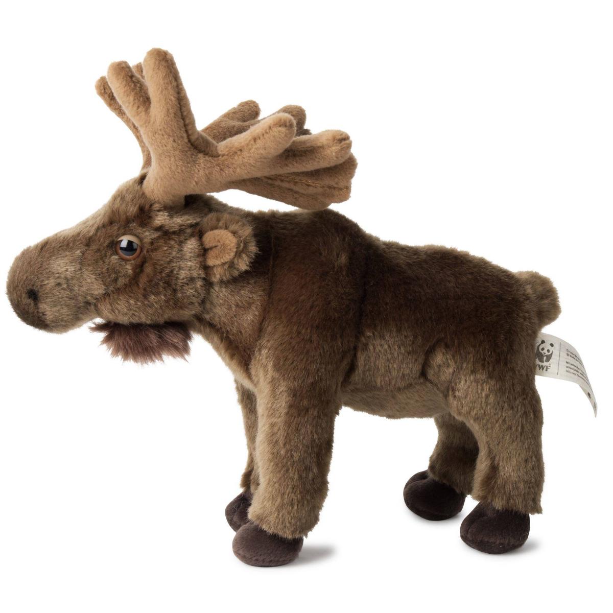 Älg - WWF (Världsnaturfonden)