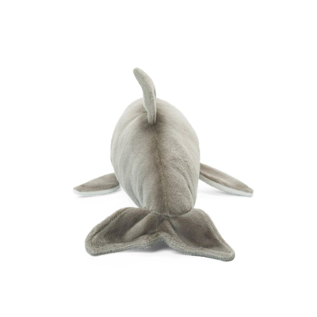 Delfin - WWF (Världsnaturfonden)