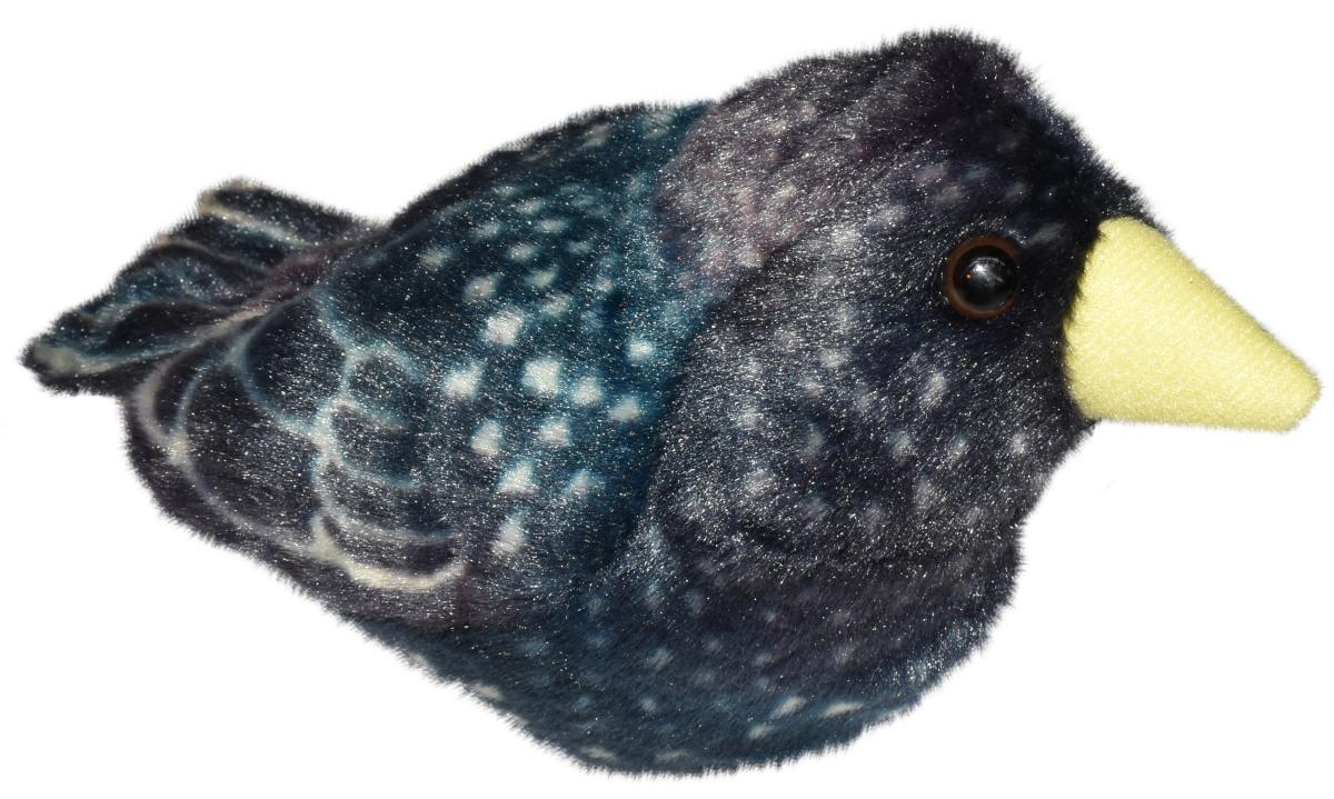 Stare med fågelläte, 14cm från Wild Republic