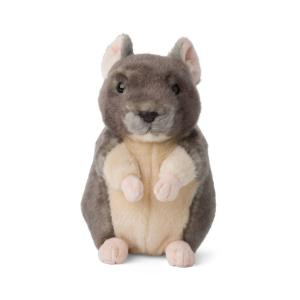Chinchilla - WWF (Världsnaturfonden)
