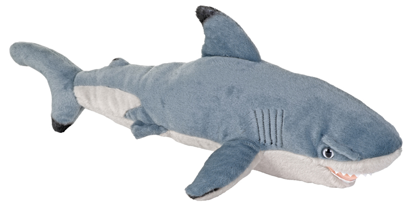 Svartfenshaj, 30cm från Wild Republic