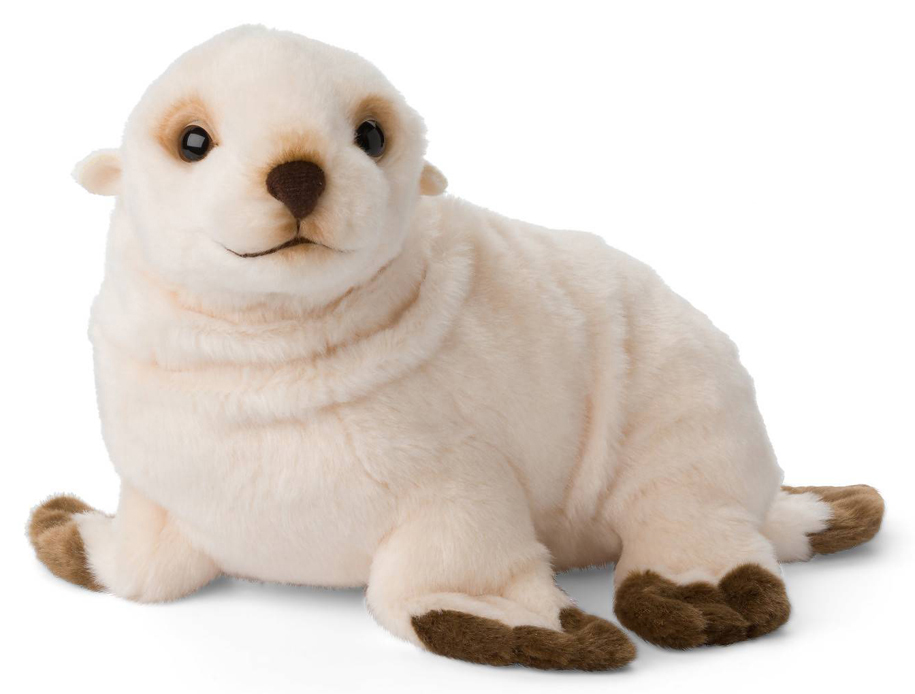 Antarktisk pälssäl - WWF (Världsnaturfonden)