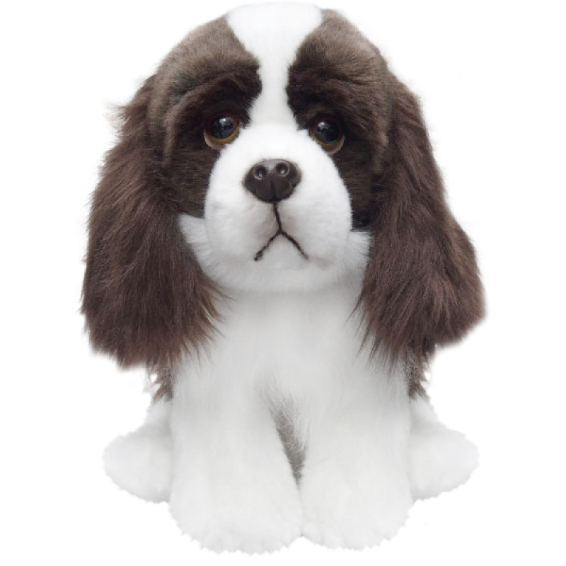 Engelsk Springer Spaniel - Faithful Friends
