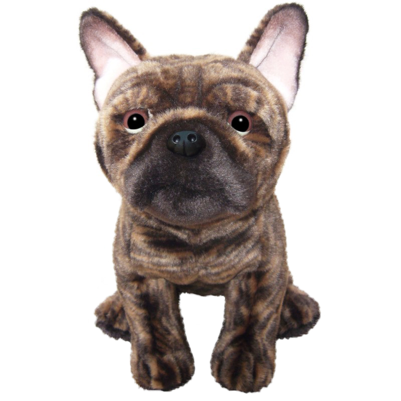 Fransk Bulldogg
