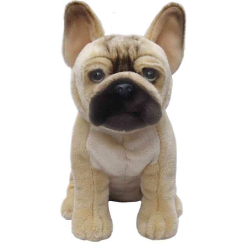 Fransk Bulldogg