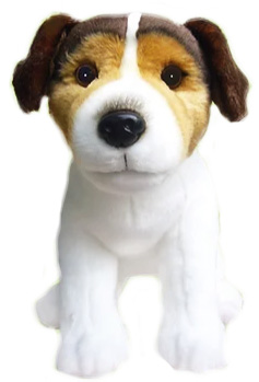 Jack Russel