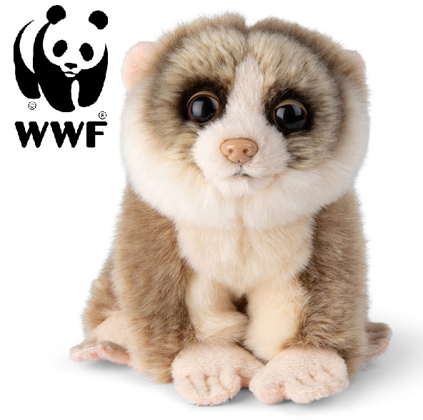 Lori - WWF (Vrldsnaturfonden)