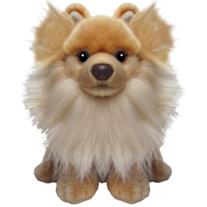Pomeranian - Faithful Friends