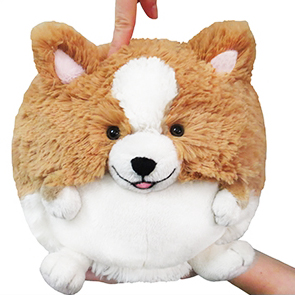 Corgi - Squishable | Nalleriet.se