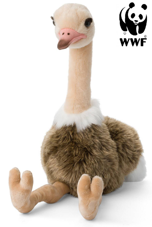 Struts - WWF (Vrldsnaturfonden)