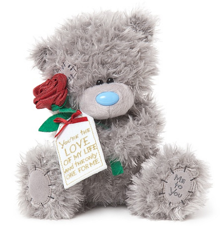 Nalle med ros Love of my life, 20cm - Me To You