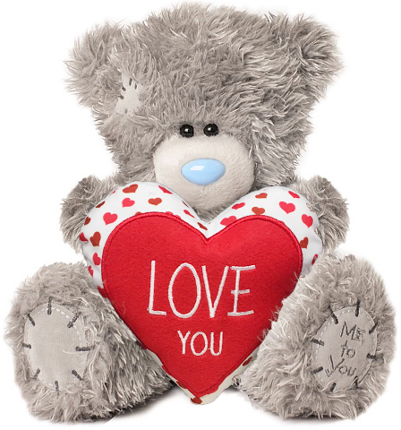 Nalle,Love You p hjrta, 25cm - Me To You