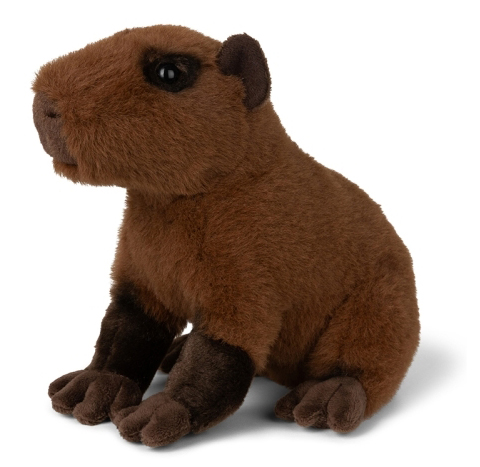 Kapybara - WWF (Världsnaturfonden)