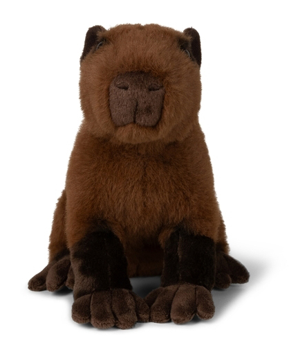 Kapybara - WWF (Världsnaturfonden)