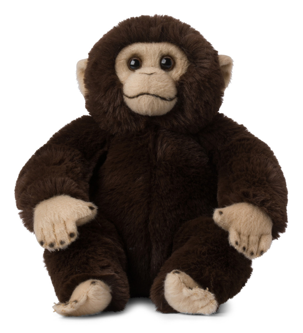 Schimpans - WWF (Världsnaturfonden)