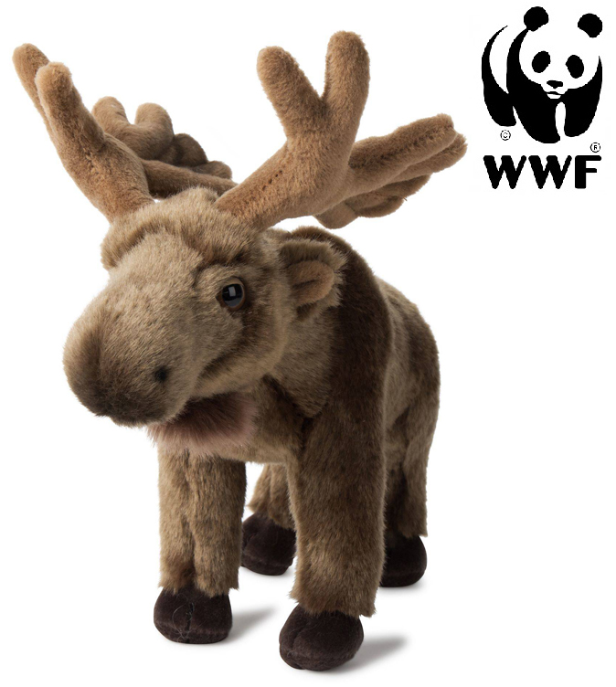 Älg - WWF (Världsnaturfonden)