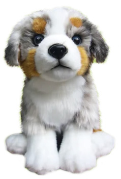 Australian Shepherd - Faithful Friends
