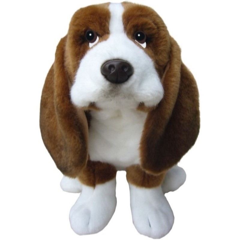 Basset Hound - Faithful Friends