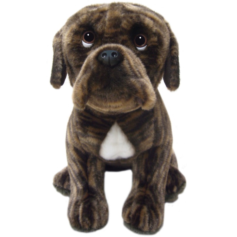 Boxer