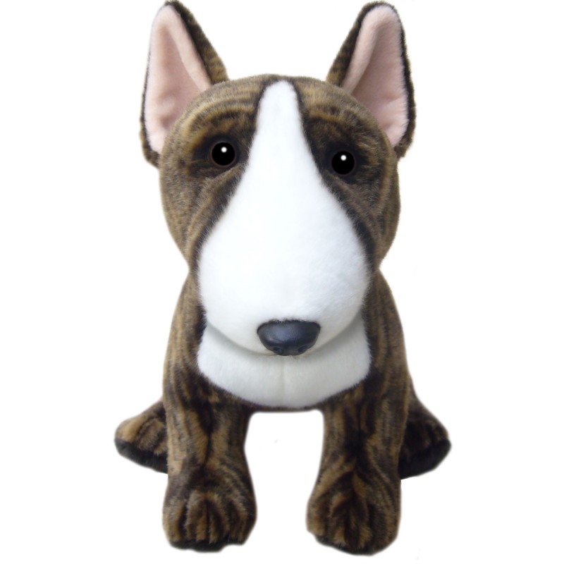 Bullterrier