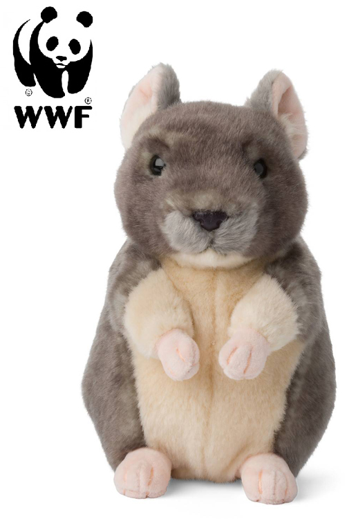 Chinchilla - WWF (Vrldsnaturfonden)