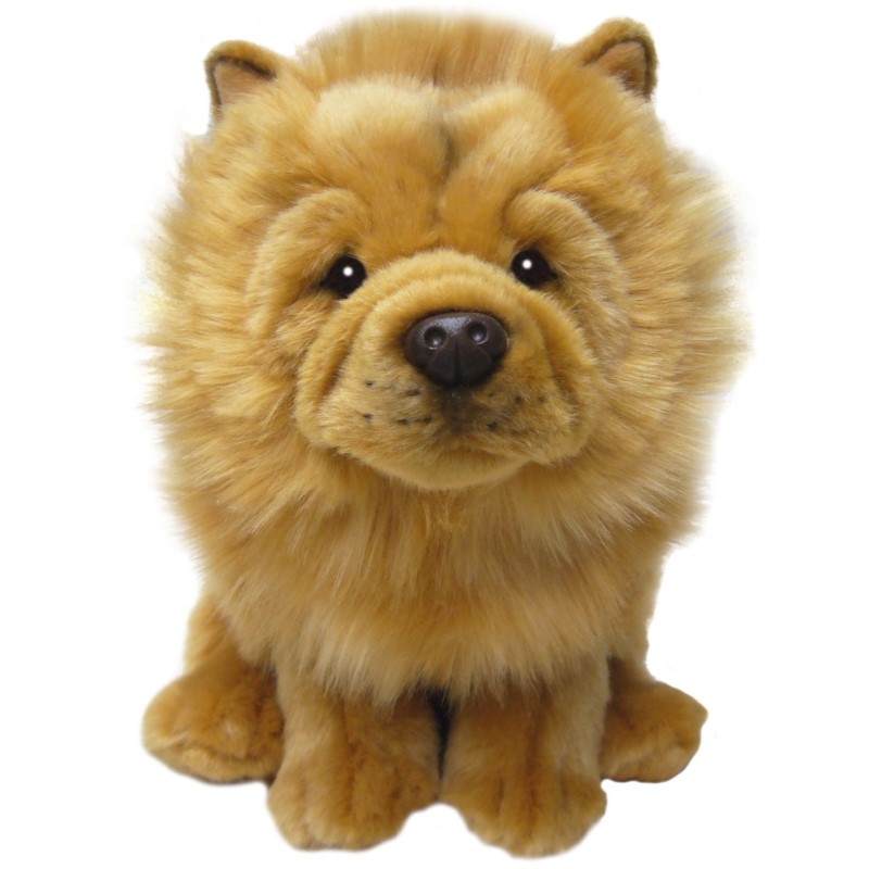 Chow Chow - Faithful Friends