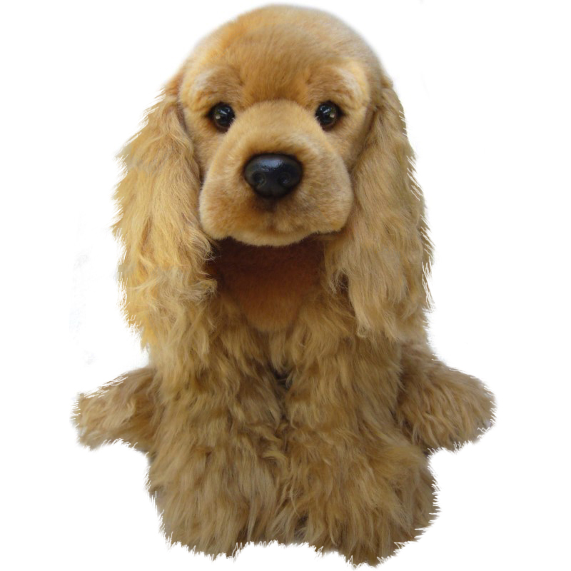 Cocker Spaniel