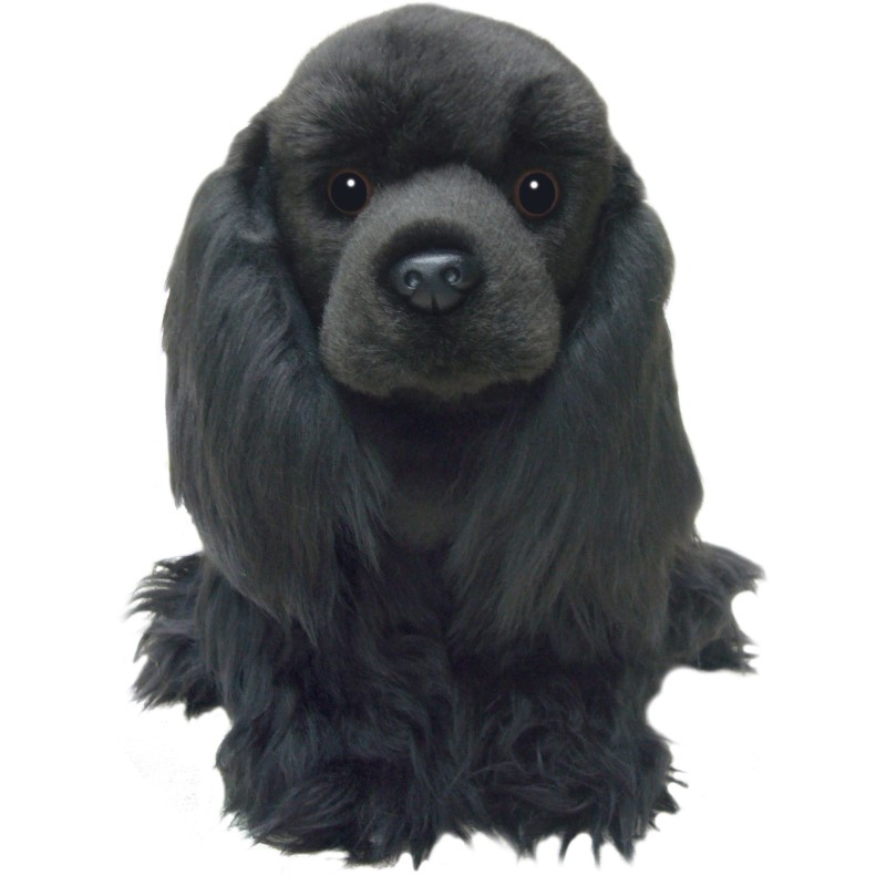 Cocker Spaniel