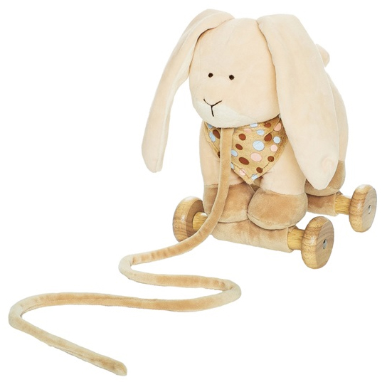 Diinglisar Dragdjur, Kanin från Teddykompaniet