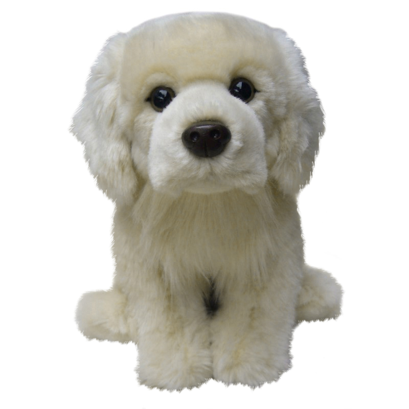Golden Retriever - Faithful Friends